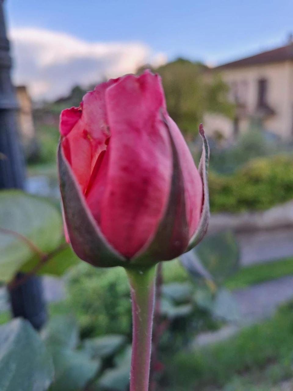 B&B Le Rose Di Paola Santa Maria a Monte Extérieur photo